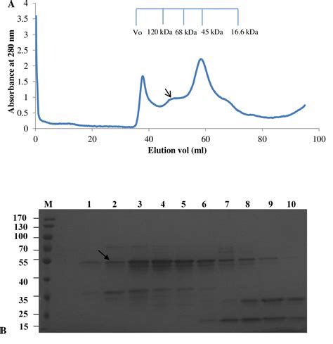 Heterologous Expression Of Invariant Surface Glycoproteins Isg Of