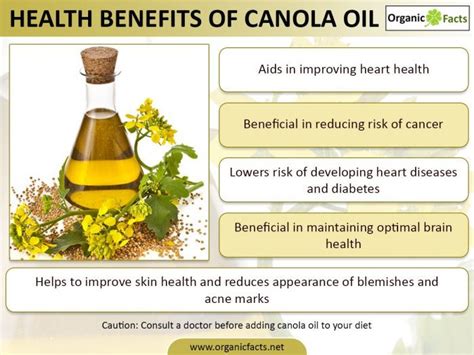 9 Incredible Canola Oil Benefits Welcome Qatar