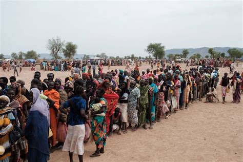 iom   newly displaced  south kordofan  insecurity