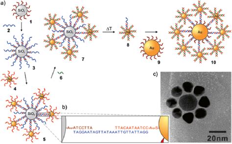 A Strategy For The Formation Of Planet Satellite Aunp Structures