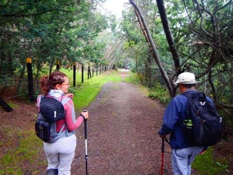 Caminata Ecológica La Peña de Gualá Cundinamarca Ecoglobal Expeditions