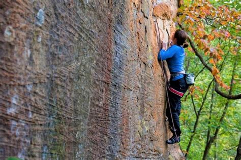 Red River Gorge Climbing: Complete Beginner's Guide (2024)