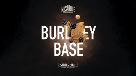 Must Have Burley Base Youtube