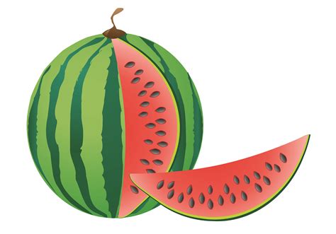 watermelon 509809 Vector Art at Vecteezy