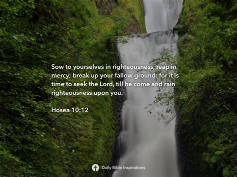 Hosea 10 12 Daily Bible Inspirations