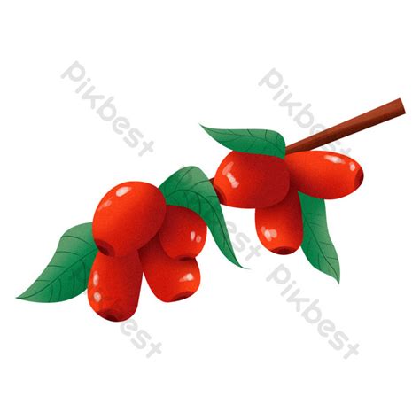 Drawing Cute Jujube Tree Red Jujube Design Png Free Buckle Element Png