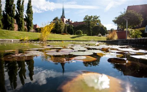 Ogród Botaniczny 2024 we Wrocławiu Kiedy otwarcie nowego sezonu Godz