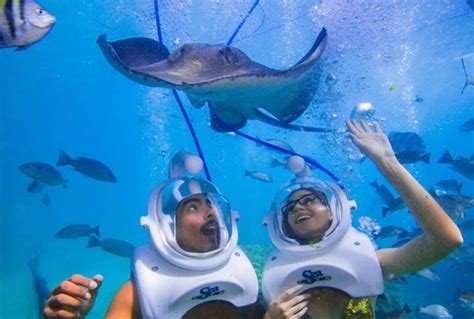 Xcaret nombrado el mejor parque temático y acuático del mundo