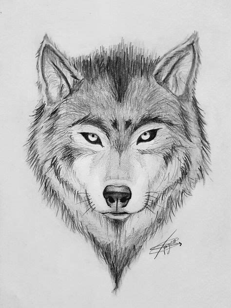 How To Draw A Wolf Face Head Step By Step Artofit