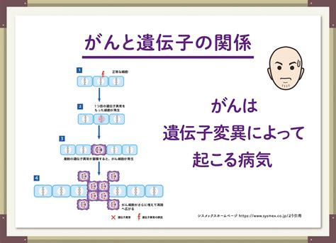 がん遺伝子パネル検査 がんに負けない健康講座