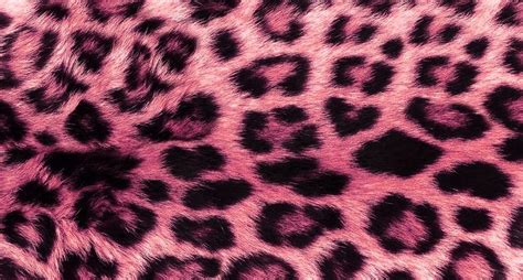 Pin By Mahila Sharifzadeh On Wallpaper Cute Laptop Wallpaper Leopard