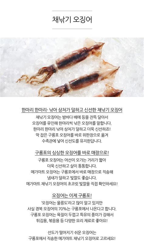 채낚기 오징어해동 메가마트몰