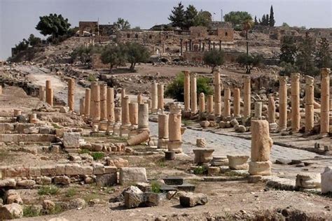 Excursión de un día a Ammán Jerash Ajloun y Umm Quais GetYourGuide