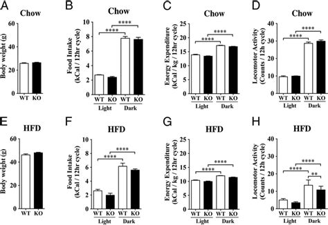 Body Weight Food Intake Energy Expenditure And Locomotor Activity In