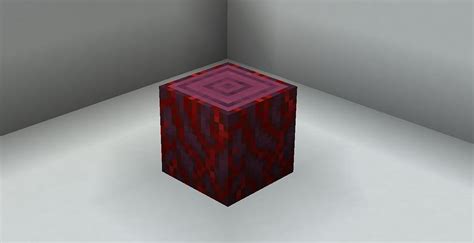 Crimson Stem Block In Minecraft