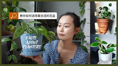 如何选择最合适的花盆？关于市面常见花盆你需要了解的事｜facts About Planters You Need To Know Youtube