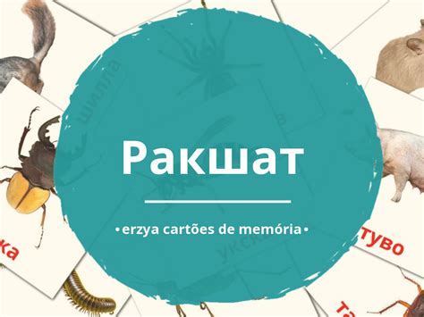 48 Flashcards de Animais GRÁTIS em Erzya 4 PDFs imprimíveis