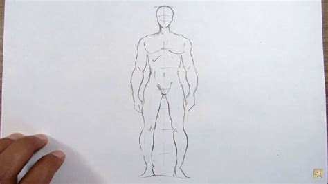 Como Desenhar O Corpo Humano