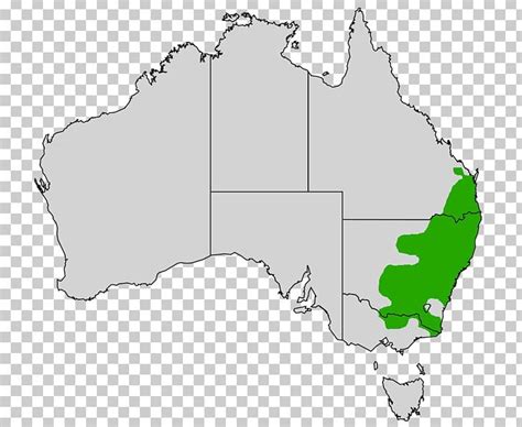 Australia Blank Map United States World Map Png Clipart Angle Area