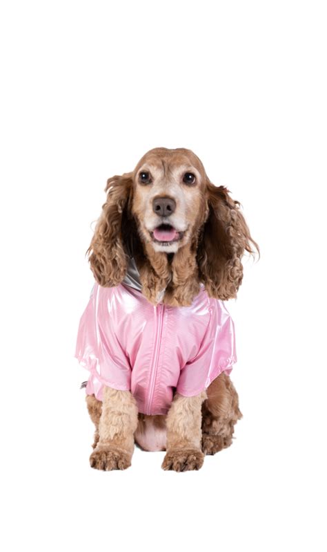 Piloto Univer Rosa Wow Boutique De Mascotas