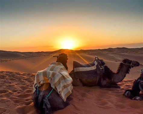 Camping And Camel Trekking In The Dasht e Margo Desert ...