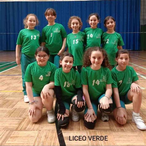 Xogade Voleibol Blog Educativo Liceo La Paz