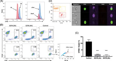 Improvements In Flow Cytometry‐based Cytotoxicity Assay Wu 2021