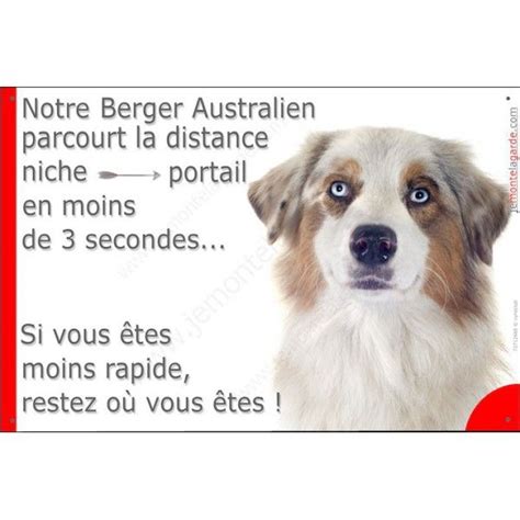 Aussie Rouge Merle Et Blanc T Te Plaque Portail Humoristique Pancarte