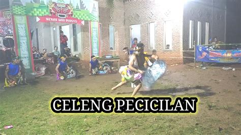 Detik Detik Celeng Mbekes Jaranan Mekar Sari Budoyo Waringinsari