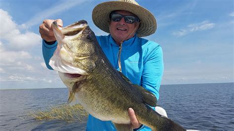 How To Catch Largemouth Bass Top Bass Angler Tip Guide