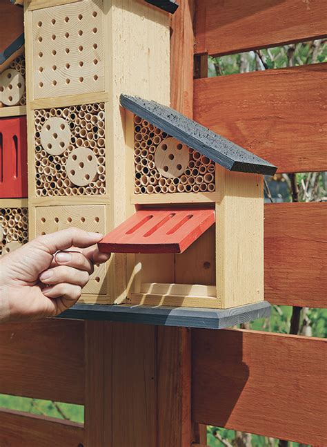 Bee And Butterfly House Woodworking Project Woodsmith Plans