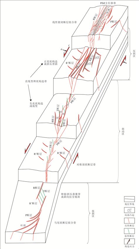 塔里木盆地塔北地区深层走滑断裂分段性成因机制