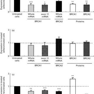 Expression Of Brca And Brca Mrna And Protein Expressions In A