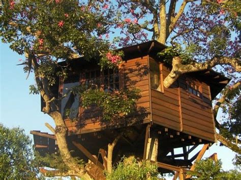 10 Best Treehouse Plans And Designs Coolest Tree Houses Ever