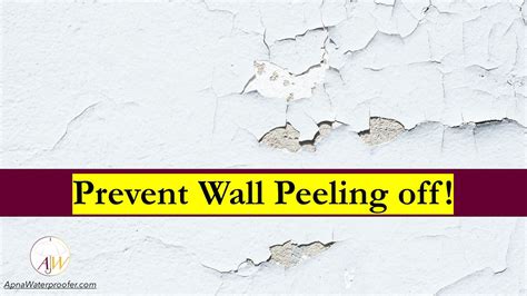 Why wall paint peels off? How to control paint peeling off?