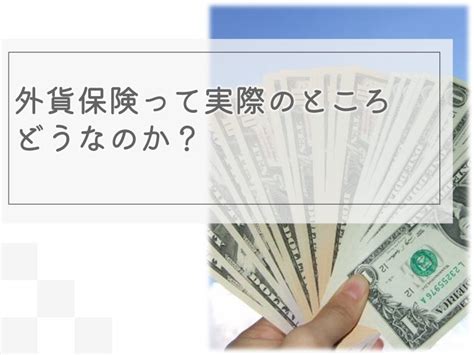 外貨建て保険は危険？それとも安全？外貨を持つ必要性をご紹介します。│ほけんのhatena