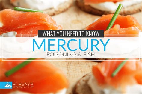 Mercury Poisoning Symptoms: Could Fish Be the Culprit?