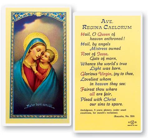 Our Lady Of Good Counsel Laminated Prayer Cards 25 Pack