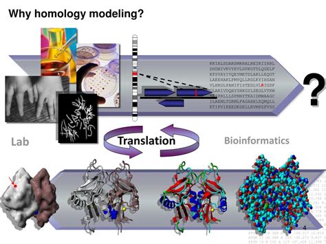 Ppt Applications Of Homology Modeling Powerpoint Presentation Free