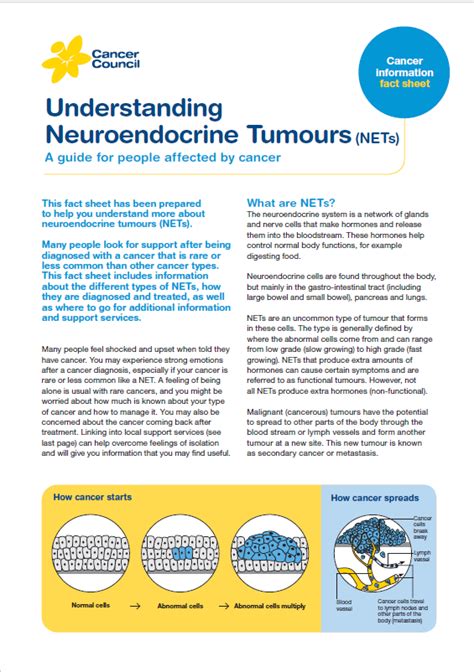 Diagnosing Neuroendocrine Tumours NETs Cancer Council NSW