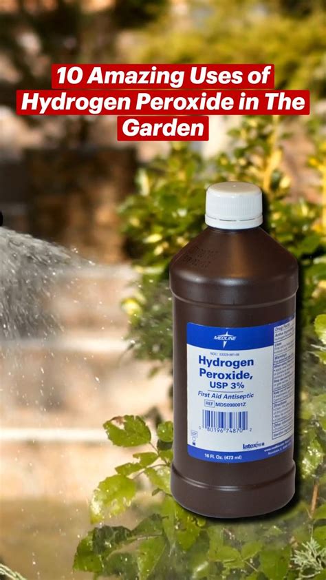 Amazing Uses Of Hydrogen Peroxide In The Garden Hydrogen Peroxide