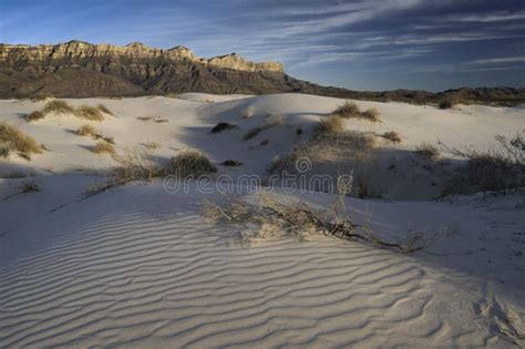 Salt Basin Dunes In Guadalupe Mountains National Park Stock Image