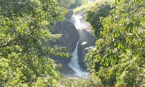 Kalpetta Tourism (2024): Best of Kalpetta, India - Tripadvisor