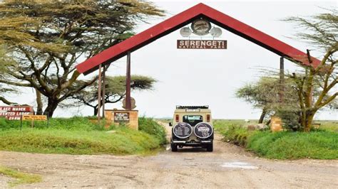 Days Serengeti Migration Safari