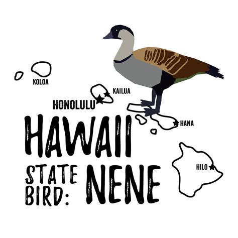 Hawaii State Bird - Bird Watching Academy