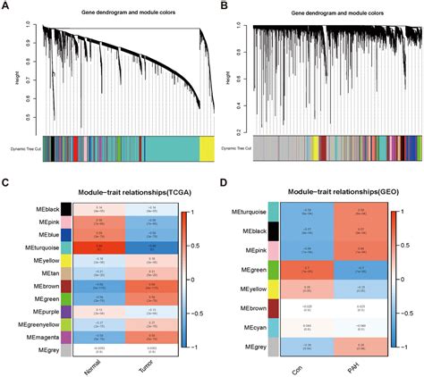 G Pd Is A Prognostic Biomarker Correlated With Immune Infiltrates In