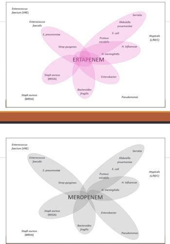 Carbapenems Flashcards Quizlet