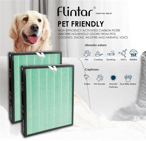 Flintar Vital 100S Filtro de repuesto para absorción de humo y toxinas