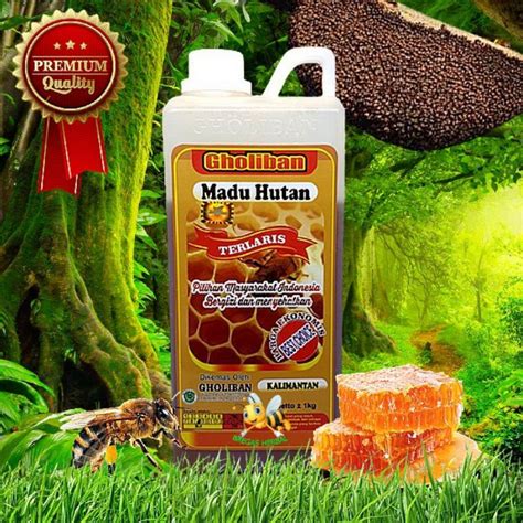 Jual Madu Hutan Kalimantan Gholiban Kg Asli Original Shopee Indonesia