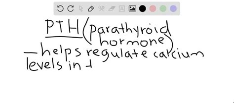 SOLVED PTH A Stimulates Osteoblasts To Lay Down New Bone B Reduces